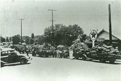 Line of Potato Trucks