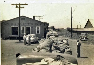 Unloading Potatoes at Ben Heikens' Warehouse